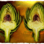 Artichoke halves