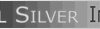 Digital Silver Logo