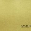 Gold Fever book cover