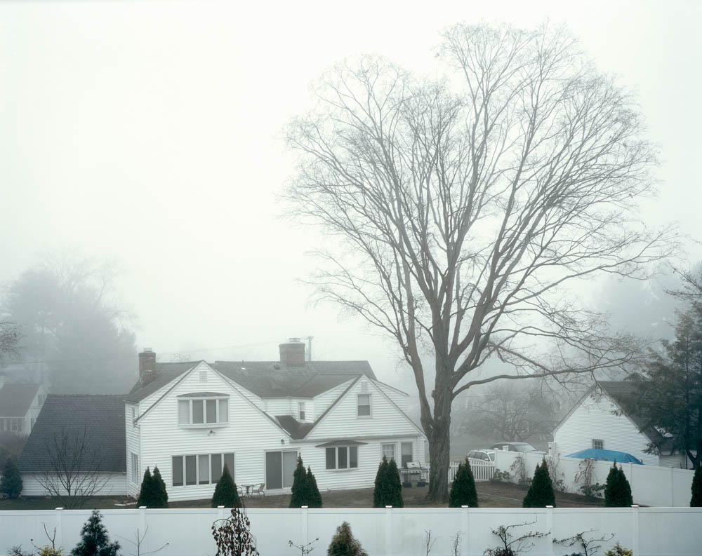 A landscape of a White House with bushes and a tree in front with snow on the ground.