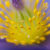 Abstract yellow and purple flower