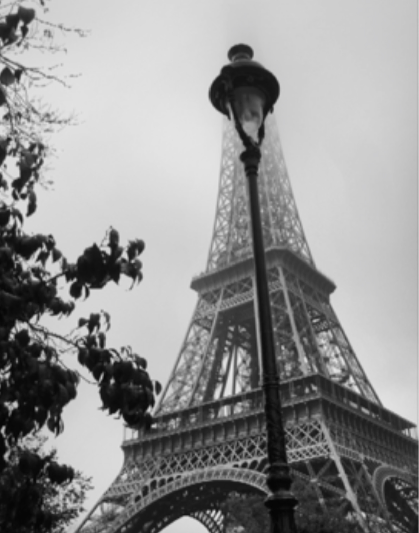 A vertical photo, looking up towards the Eiffel Tower.