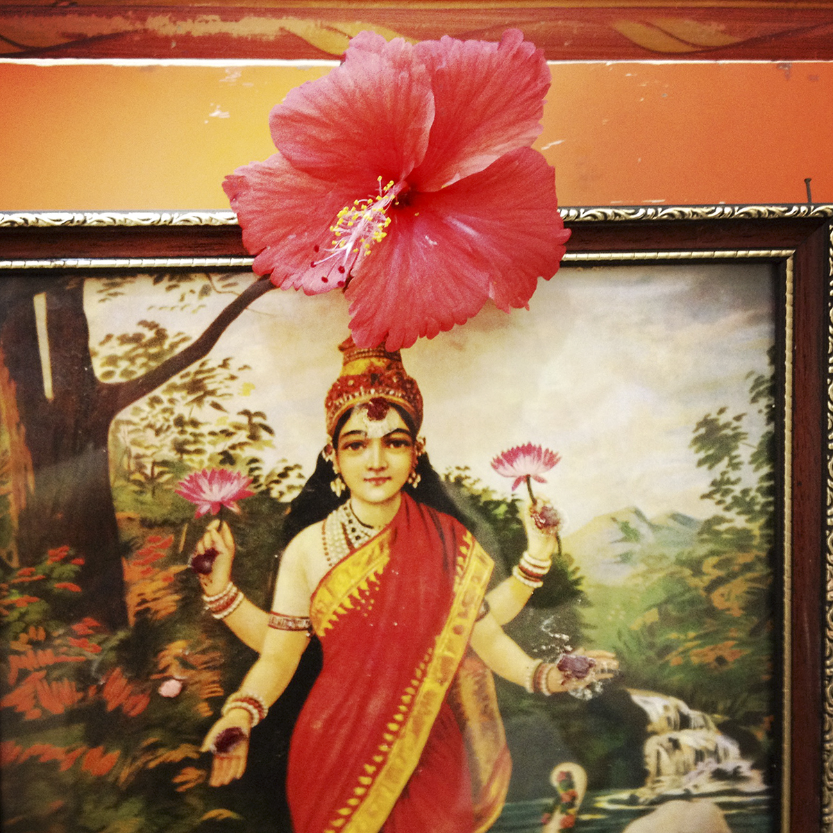 Flower on Indian god image
