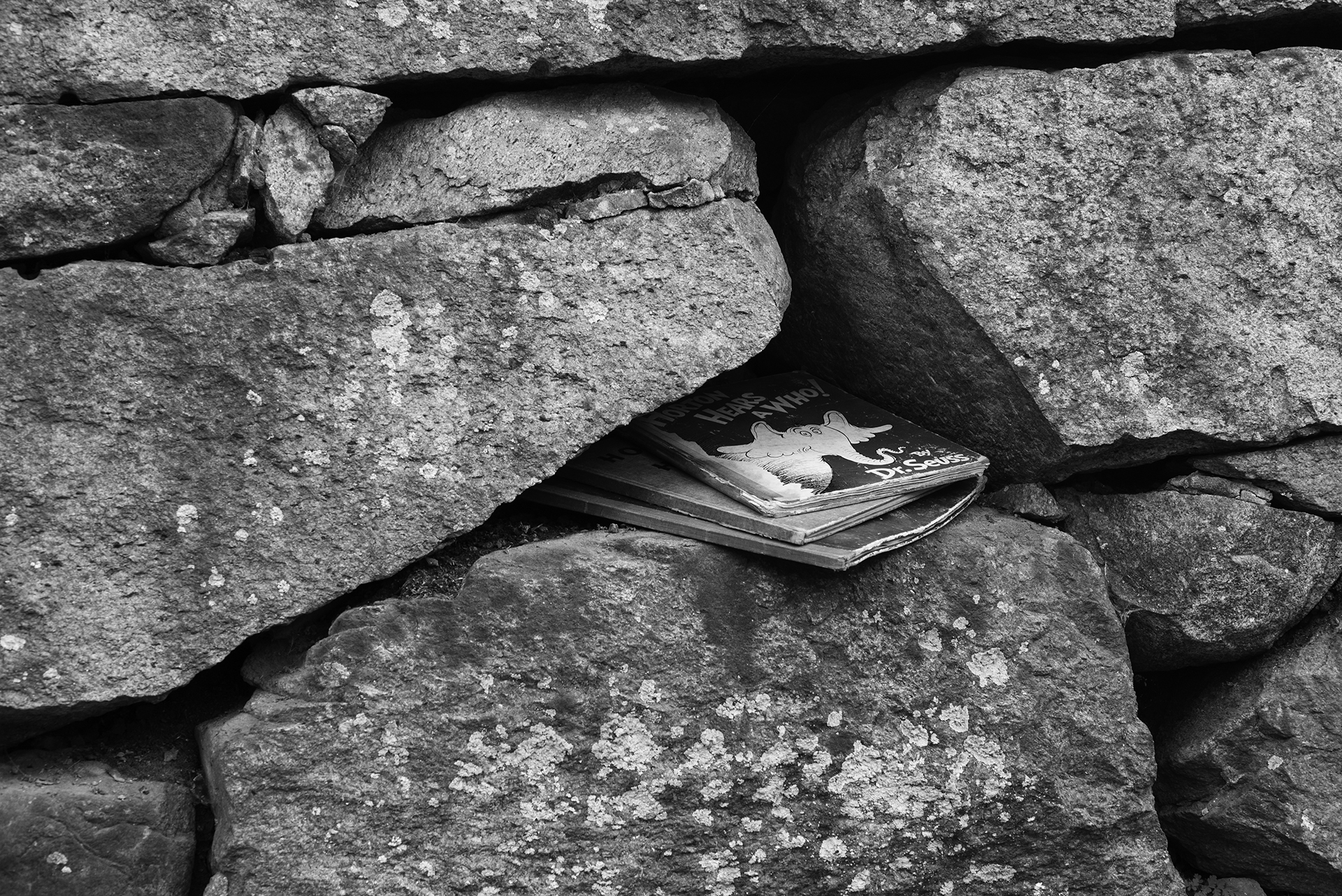 Book in a rock