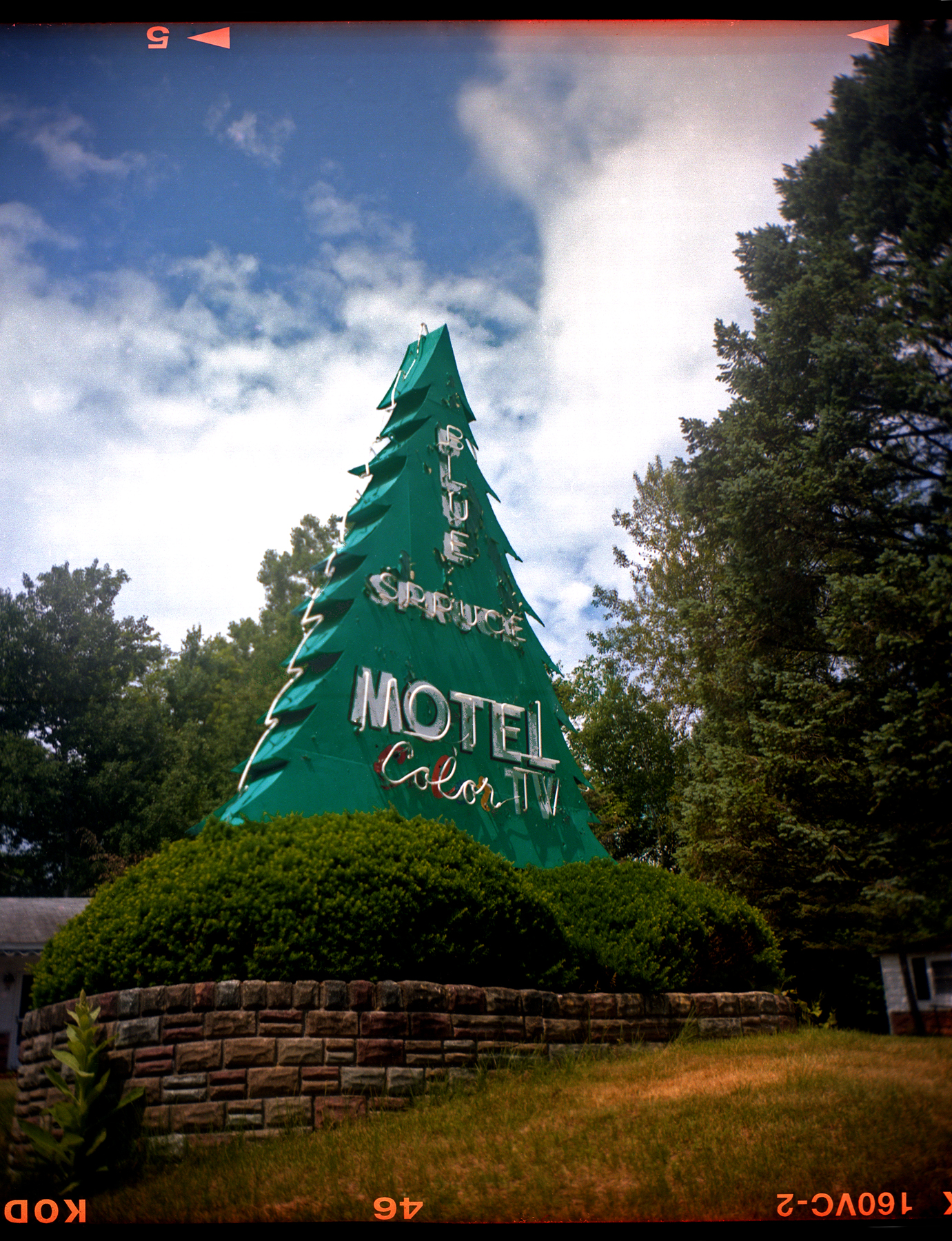 Motel sign as a tree