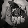 Hand holding butterfly