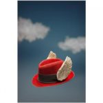 Red hat with wings