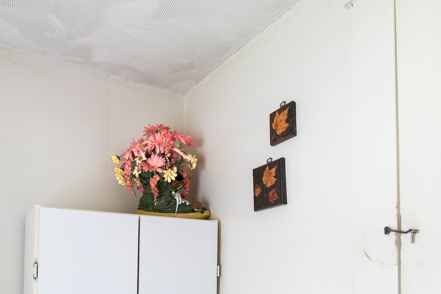 Flowers on a cabinet with 2 pictures