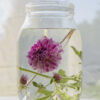 Flower in a glass jar with water