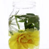 Flower in a glass jar with water