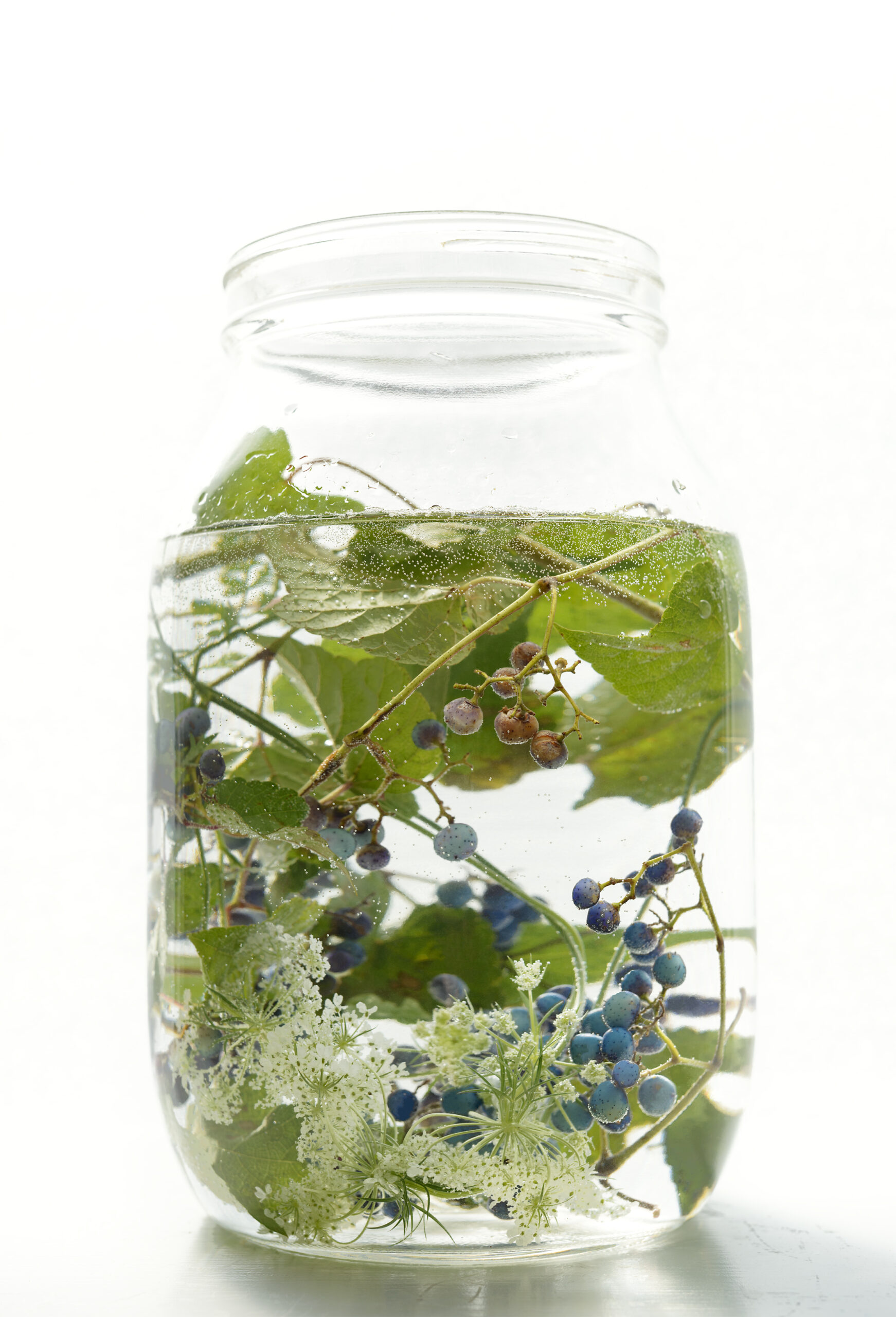 Flower in a glass jar with water