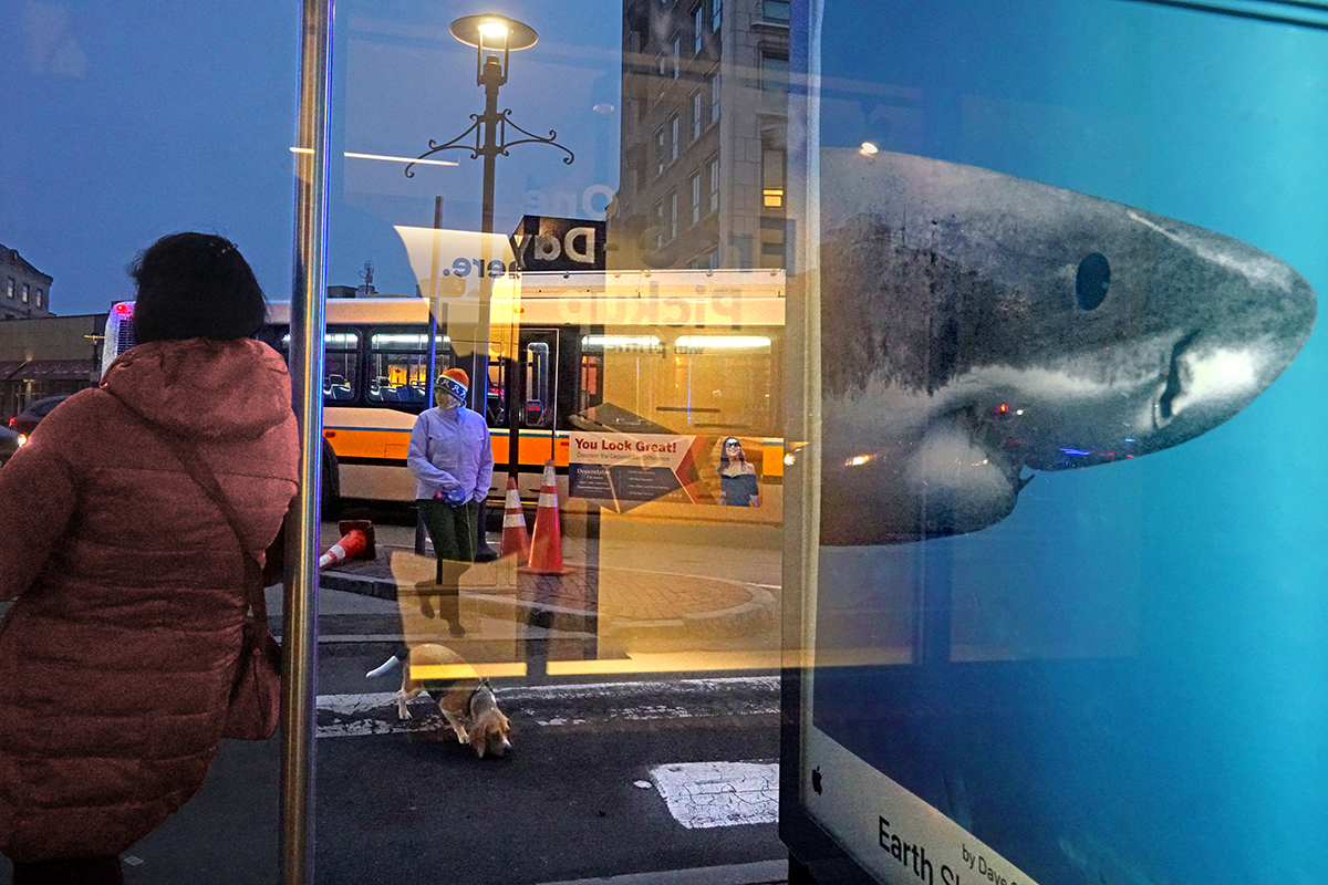 A window reflection of a woman waiting, a woman walking by and a poster of a shark.