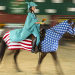 Statue of Liberty on Horse