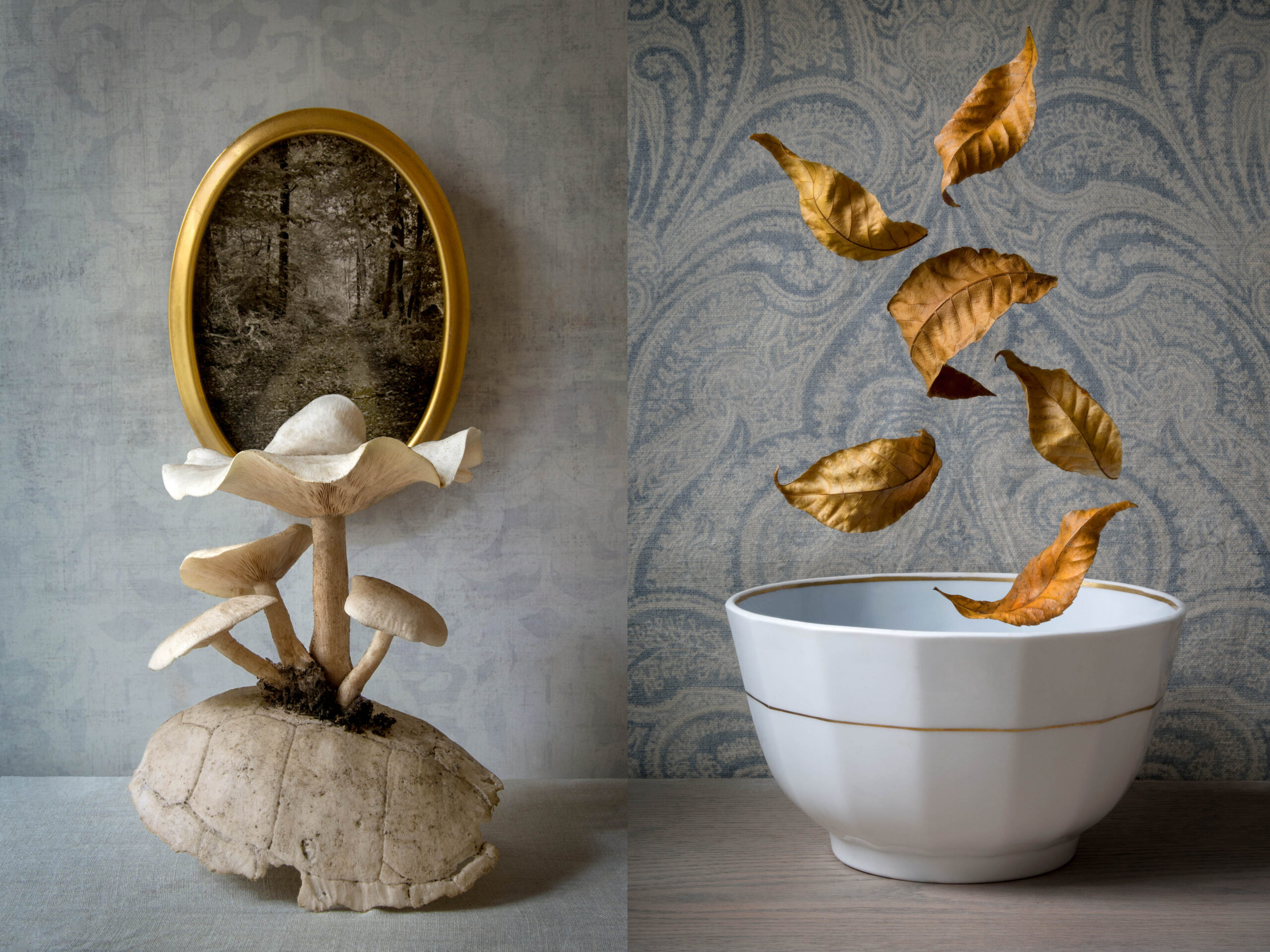 Two photographs merged show mushrooms in front of a circular frame, beside a white bowl with leaves floating into it against a blue patterned wallpaper.