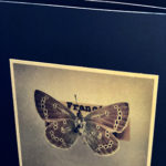 An artist book cover with a butterfly on it.