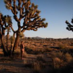 A nude woman stands in the desert by a tree.