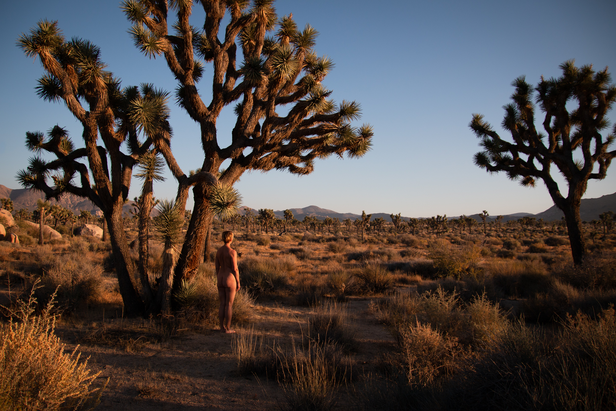 A nude woman stands in the desert by a tree.