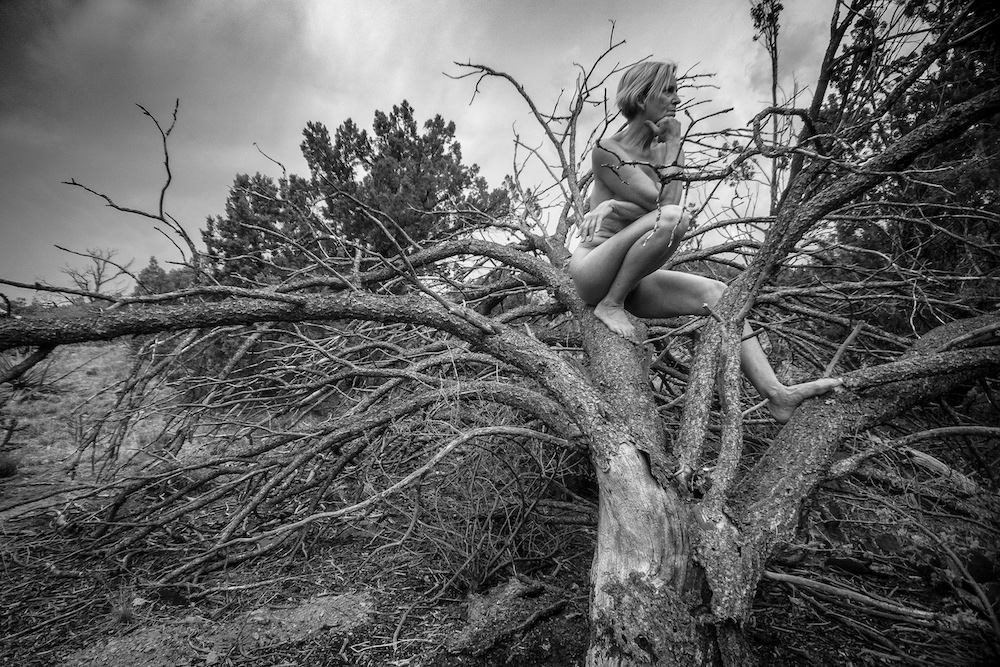 A nude woman sits in a bare tree.
