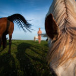 A nude woman stands with a closeup of horses.