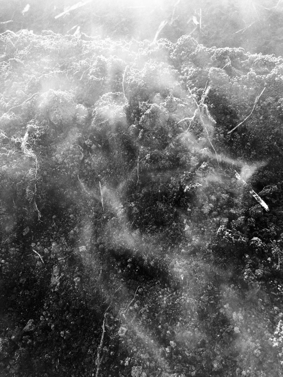 This image is abstracted image of smoke like shapes. © Virgil DiBiase, "My brain is fogged.It’s dirt.” -Richard
