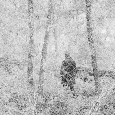 Man in the woods
