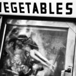 dolls in vegetable bin refrigerator