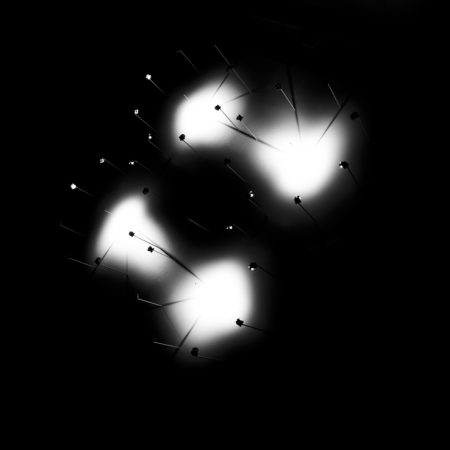 white flashes in black field