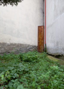 door behind grass