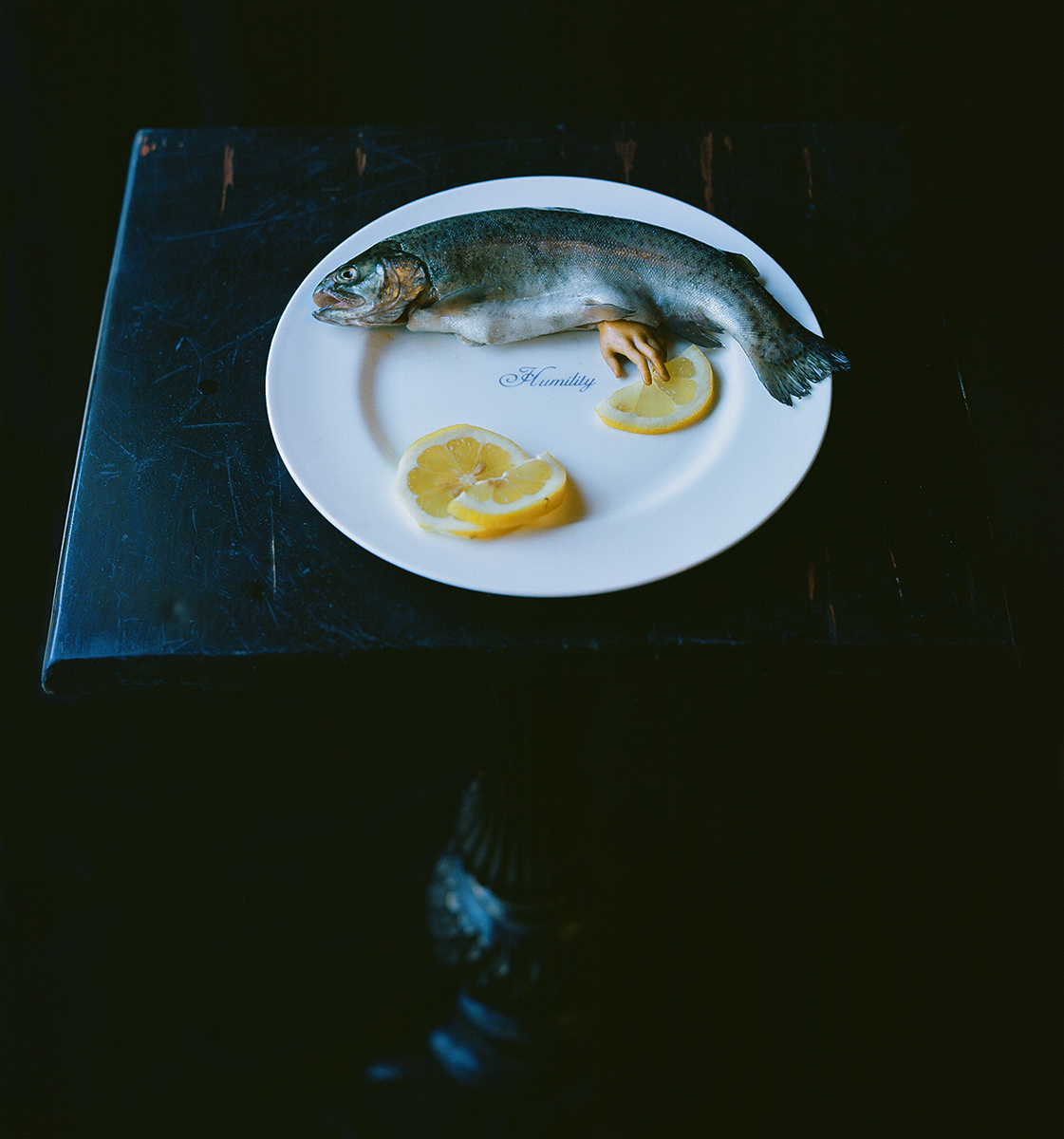 fish on a dish