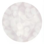 circular abstract in white