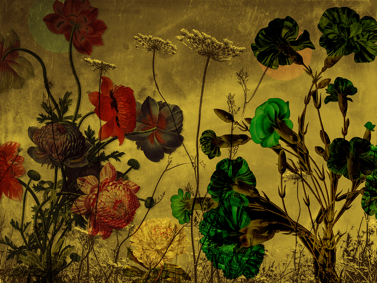 flowers on gold background