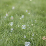 bubbles on grass