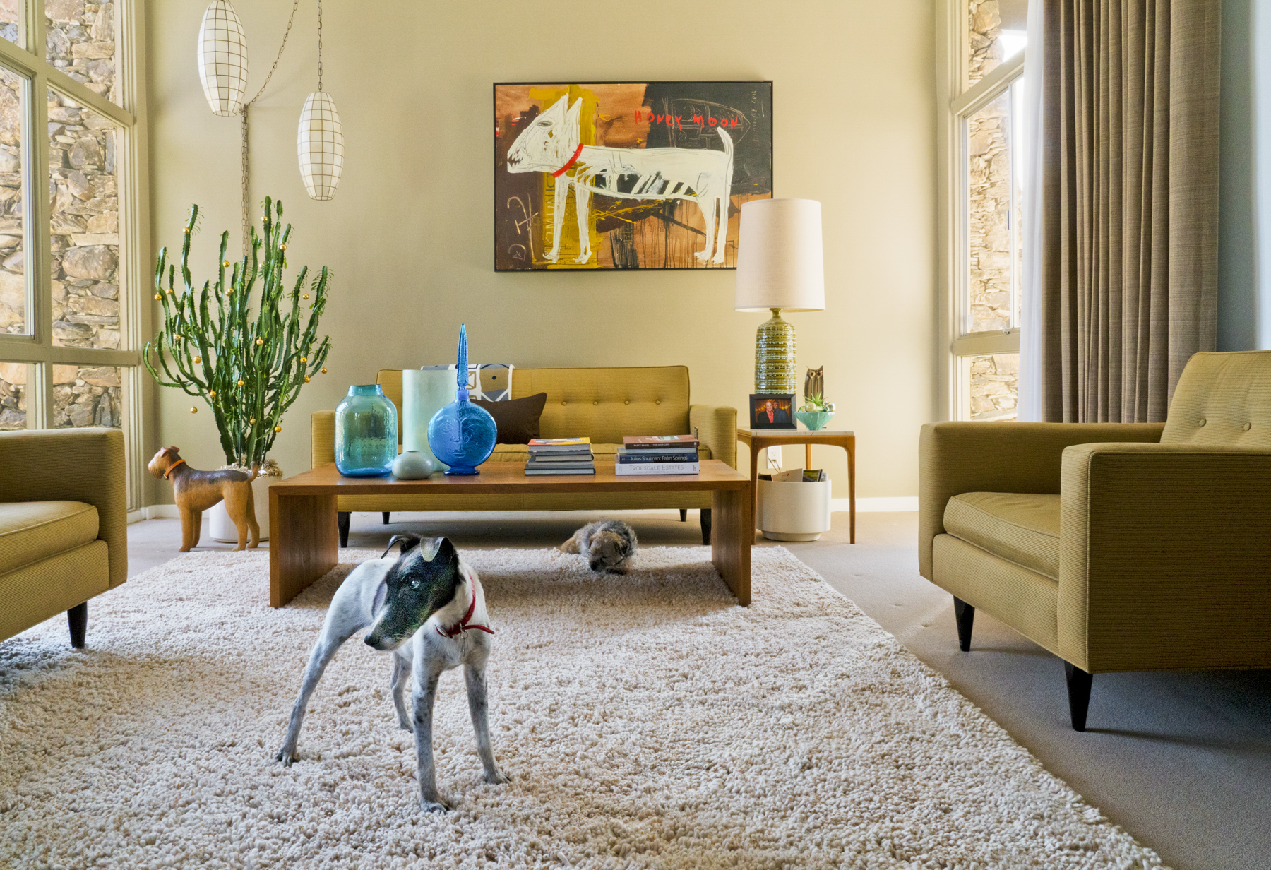 dogs in living room