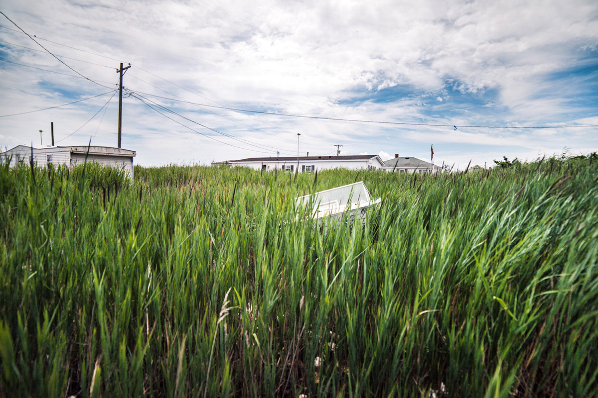 grave in the marsh