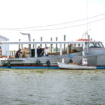 boats docking