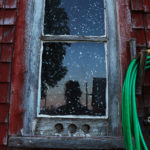 Reflection in Window Pane