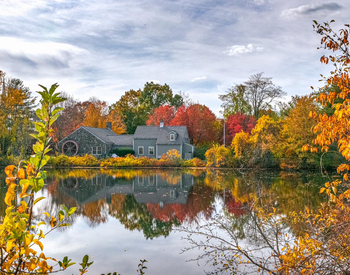 griffin across pond