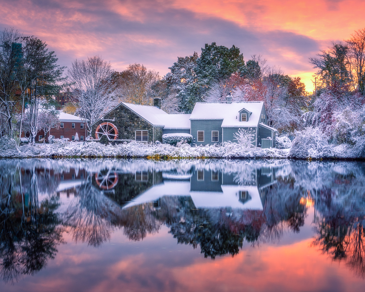 griffin sunset winter