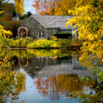across the pond view in autumn yellow