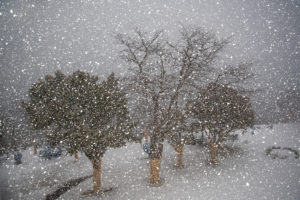 gb - lcc tree and snow