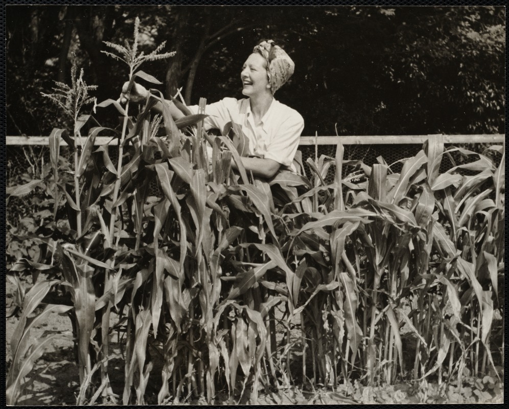 AG Archive- Gertrude Lawrence at summer home 