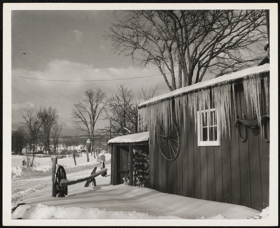 AG Archive - winter barn
