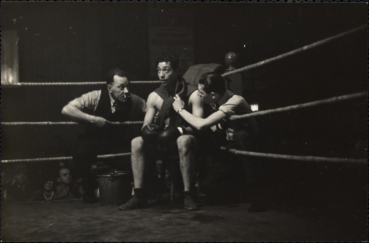 AG Archive- Boxer in the ring