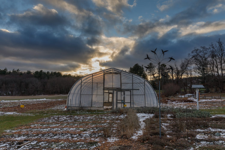 greenhouse in field