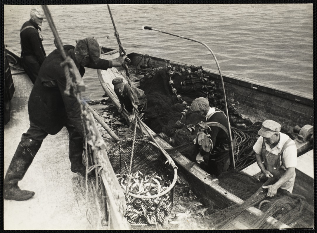 AG Archive- mackerel fishing action shot