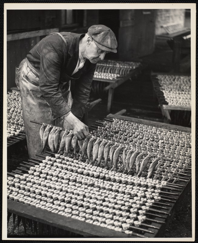 AG Archive- drying smoked herring
