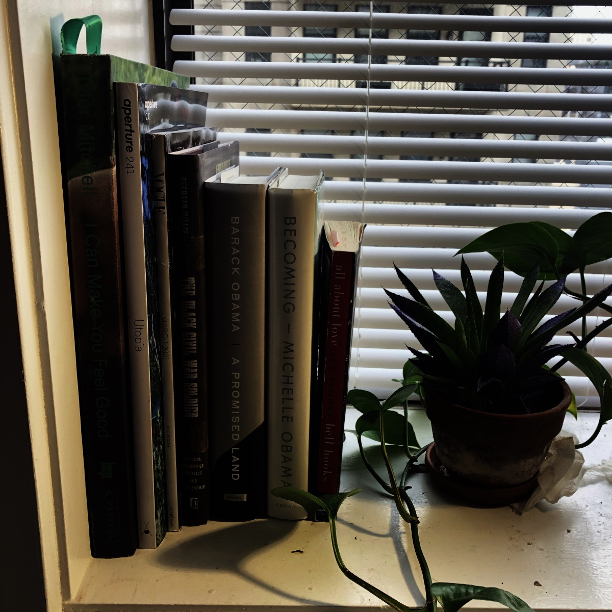 plant with books