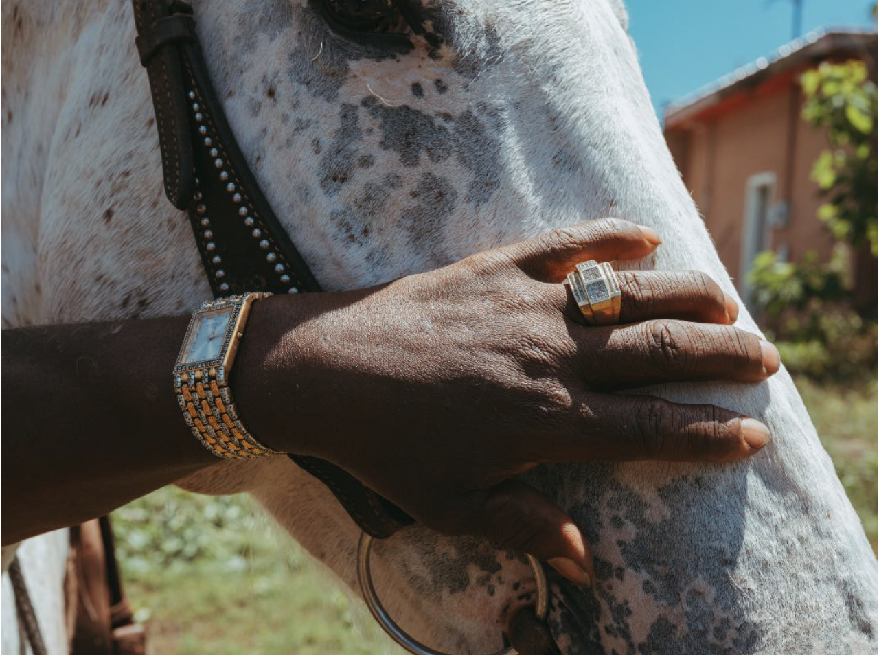 horse and hand with ring