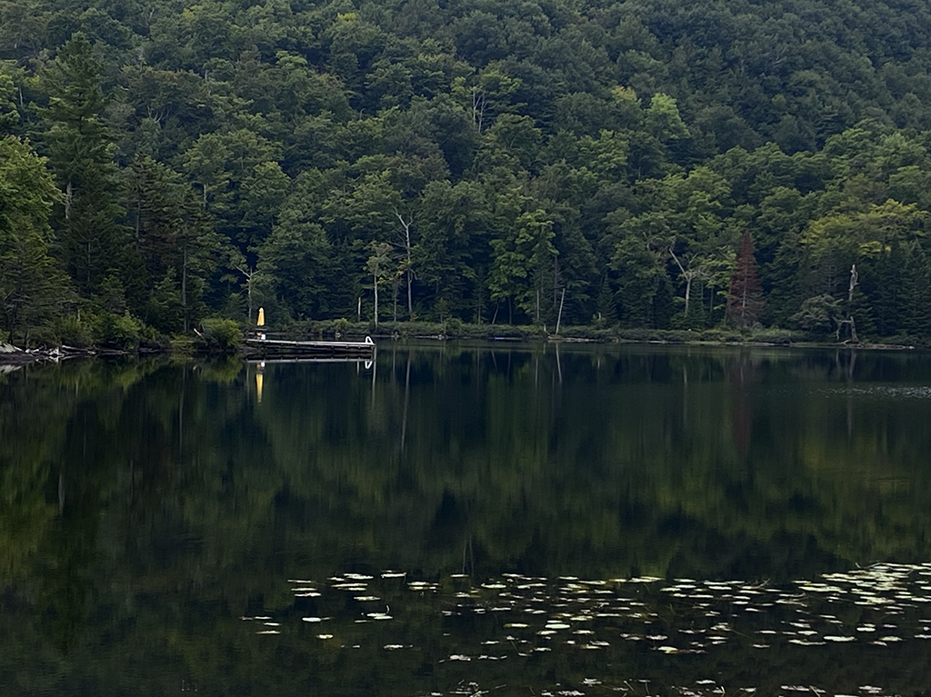 pond view