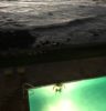 pool by ocean